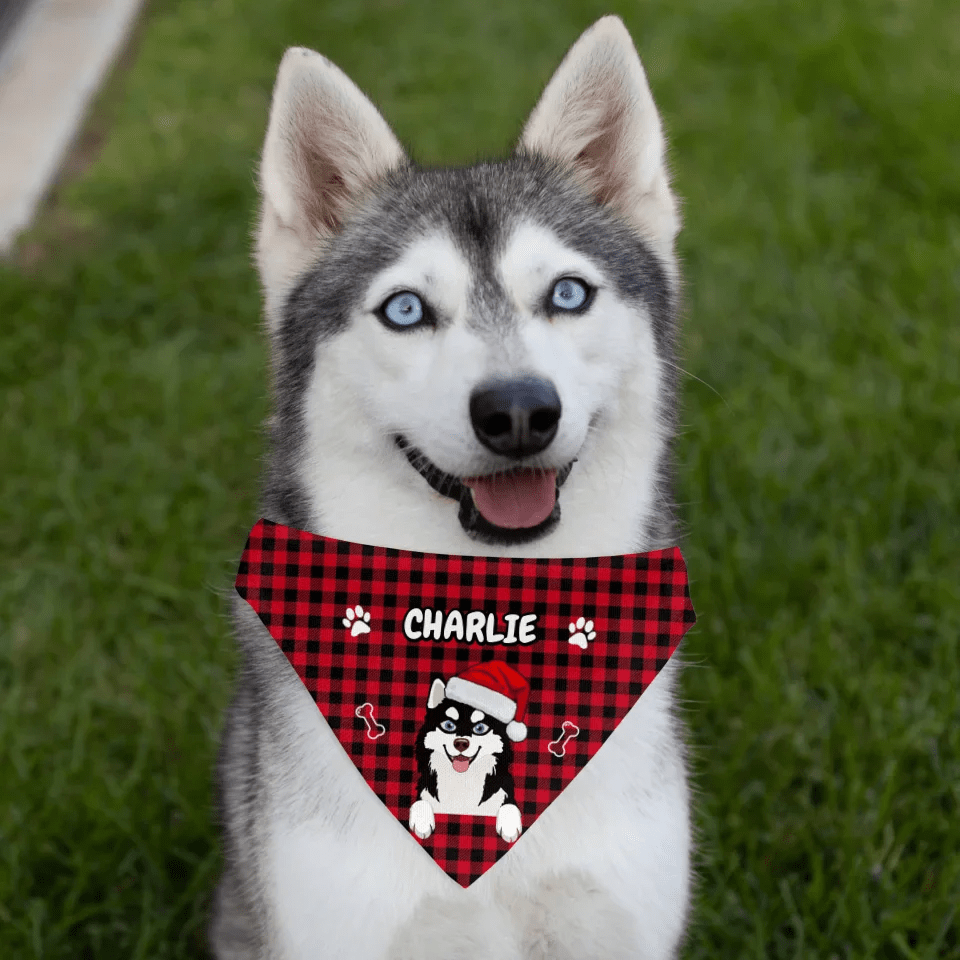 Customizer Pet Bandana Collar / Default / S Personalized Dog Bandana Collar